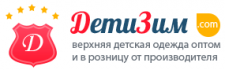 Логотип ДетиЗим