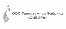 Логотип Сибирь