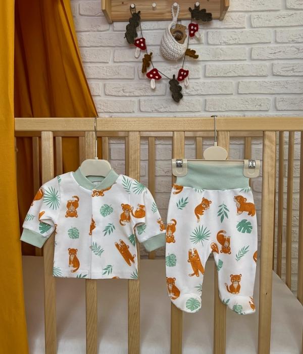 Костюм (кофта и ползунки). Интерлок Пенье (100% хлопок), фото 1